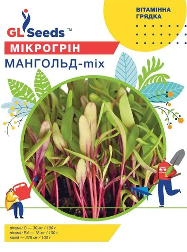 Мiкрогрiн Мангольд